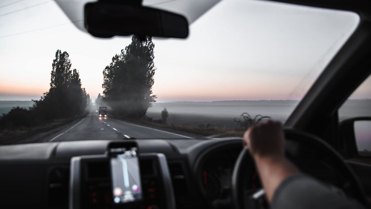 Person driving a car on a road with trees and a sunset or sunrise in the background.